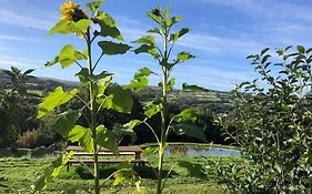 Stables,1 Or 2 Bedroom Eco Earth House, Edge Of Dartmoor